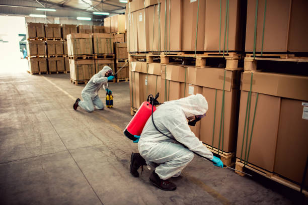 Professional Pest Control in Whitfield, FL