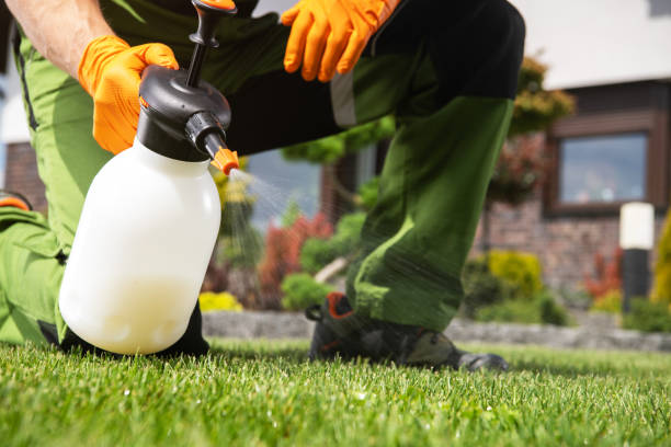 Best Cockroach Control Services  in Whitfield, FL